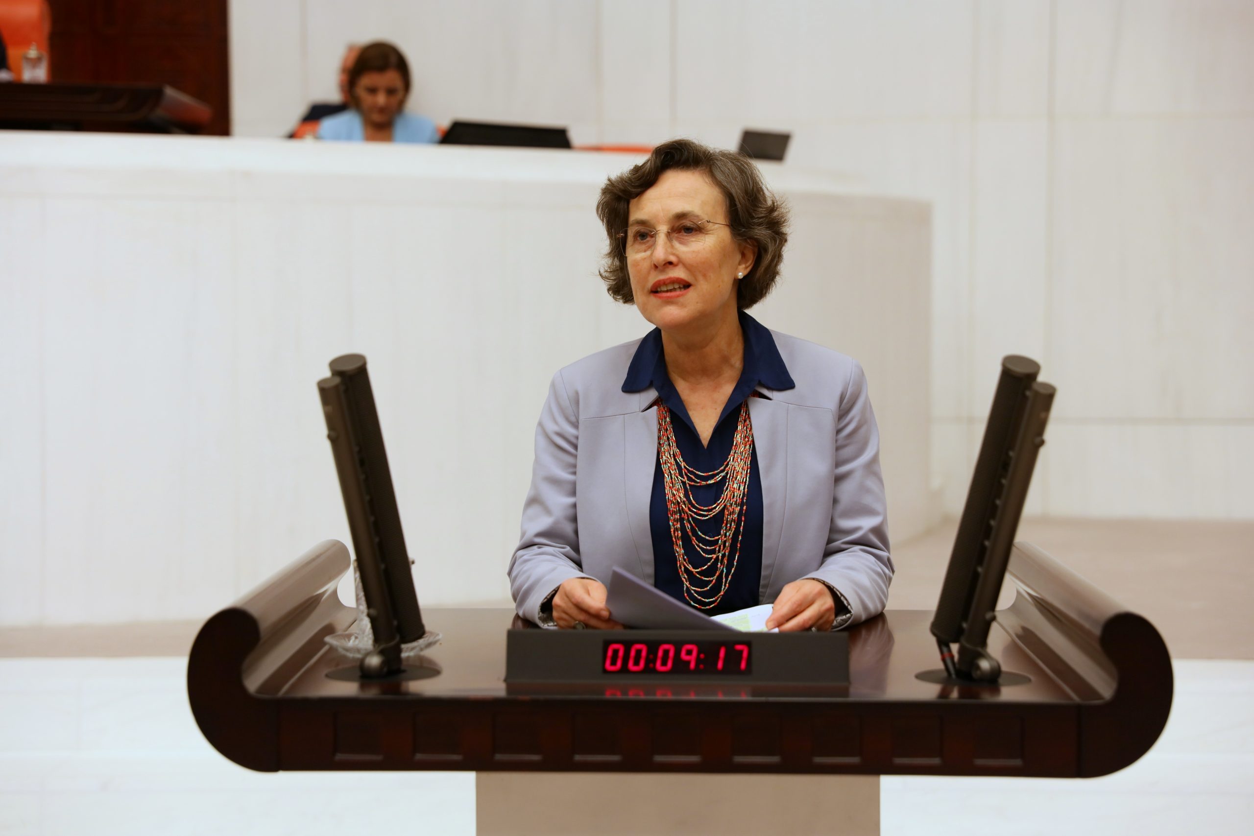 Filiz_K_meclis fotoğrafı