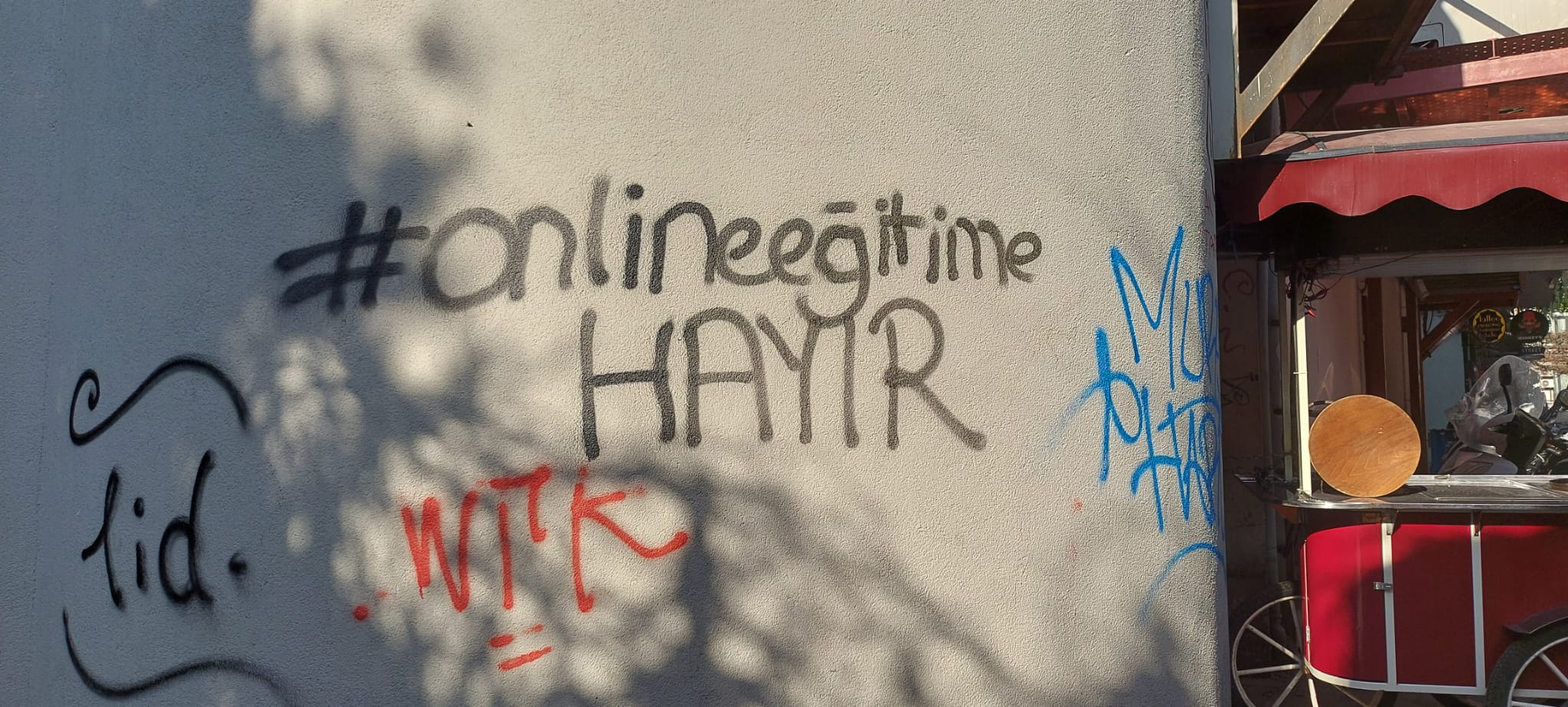 WhatsApp Image 2023-03-24 at 16.52.06