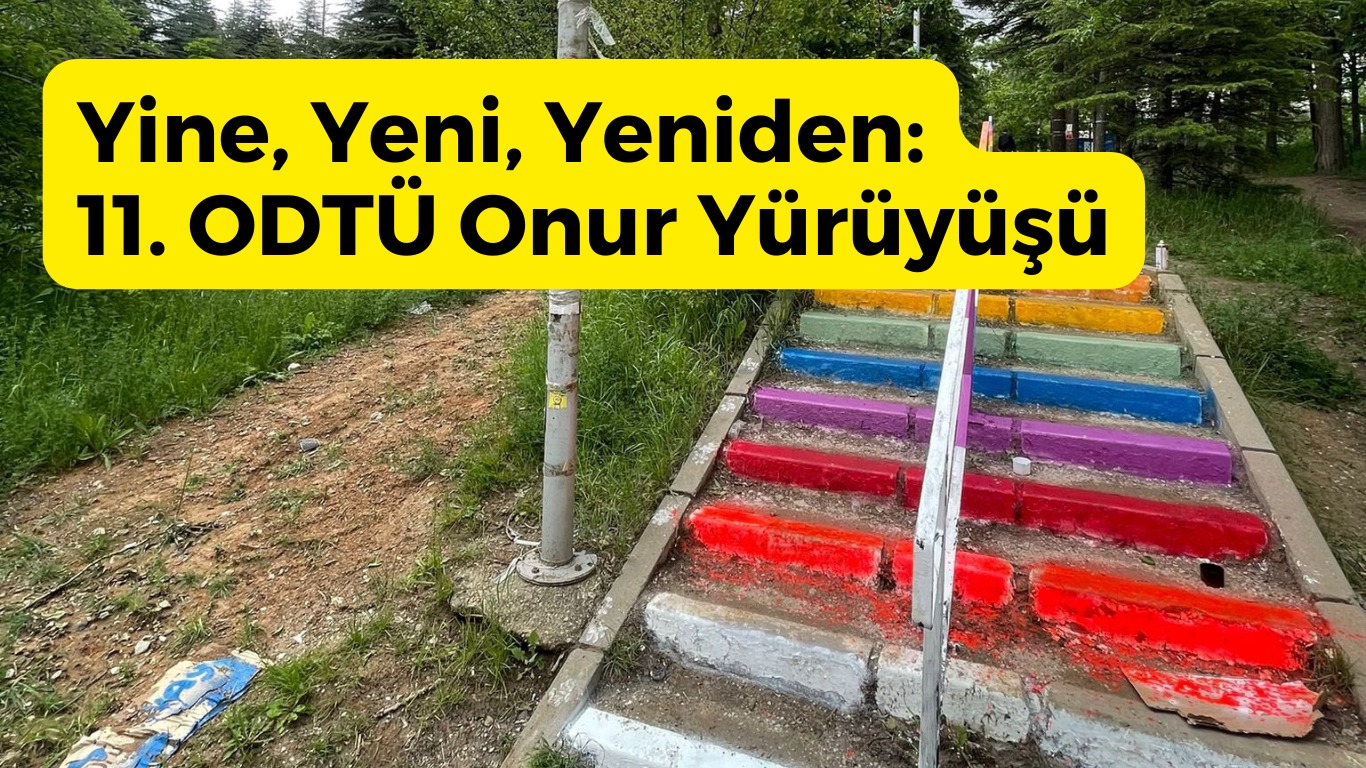 WhatsApp Image 2023-06-07 at 13.56.53