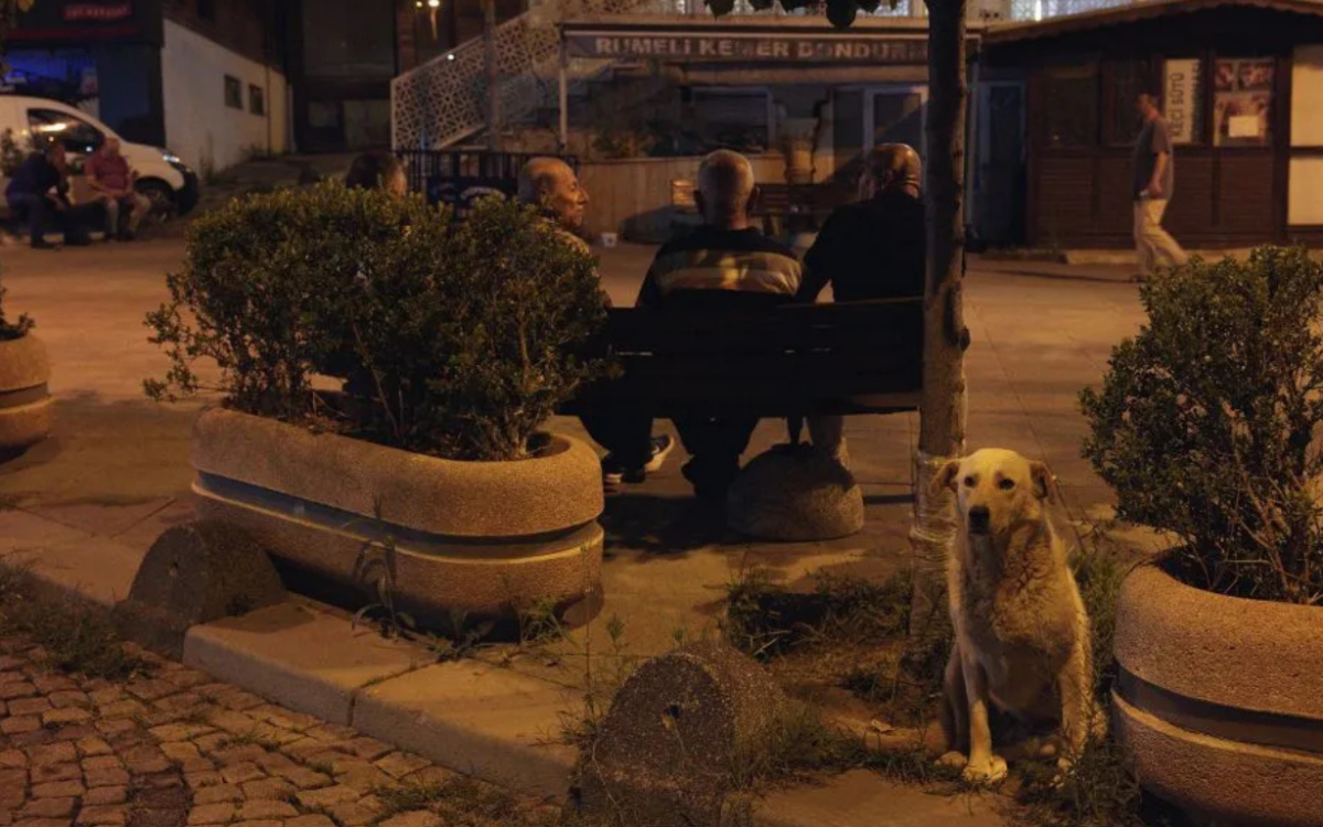 Dernek Koordinatörümüz Berna Akkızal Ms. Dergisine Demeç Verdi